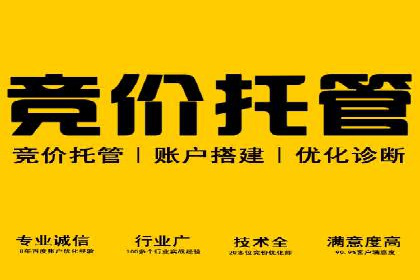 SEM专员如何利用数据分析优化广告投放效果